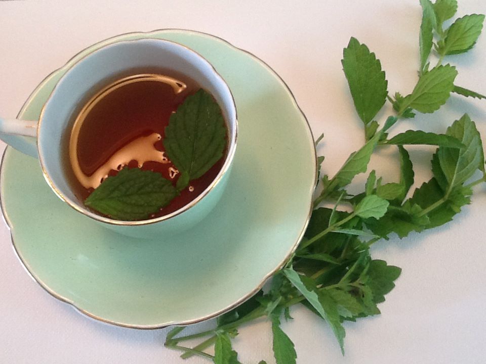Green tea cup filled with peppermint.