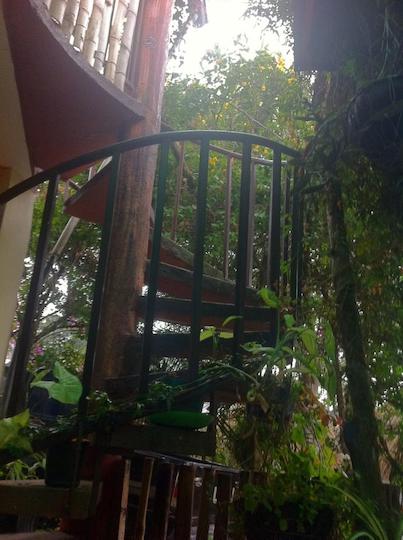 Spiral Stairway amidst greenery Guatemala 