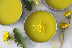 Dandelion salves with dandelion flowers strewn around.