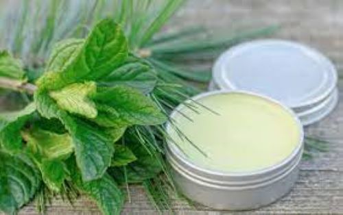 Beautiful salve with crisp green peppermint leaves lying beside the salve