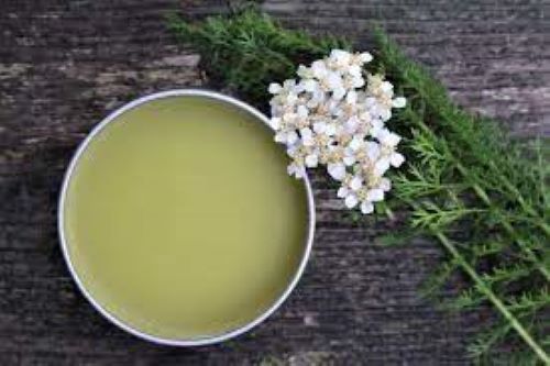 Salve tin filled with yarrow salve and surrounded by yarrow flowers and leaves.